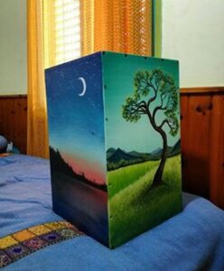 31400921_1665815206801801_6611953675172577280_n